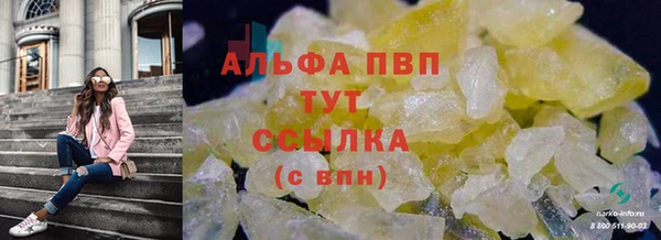 дмт Елизово